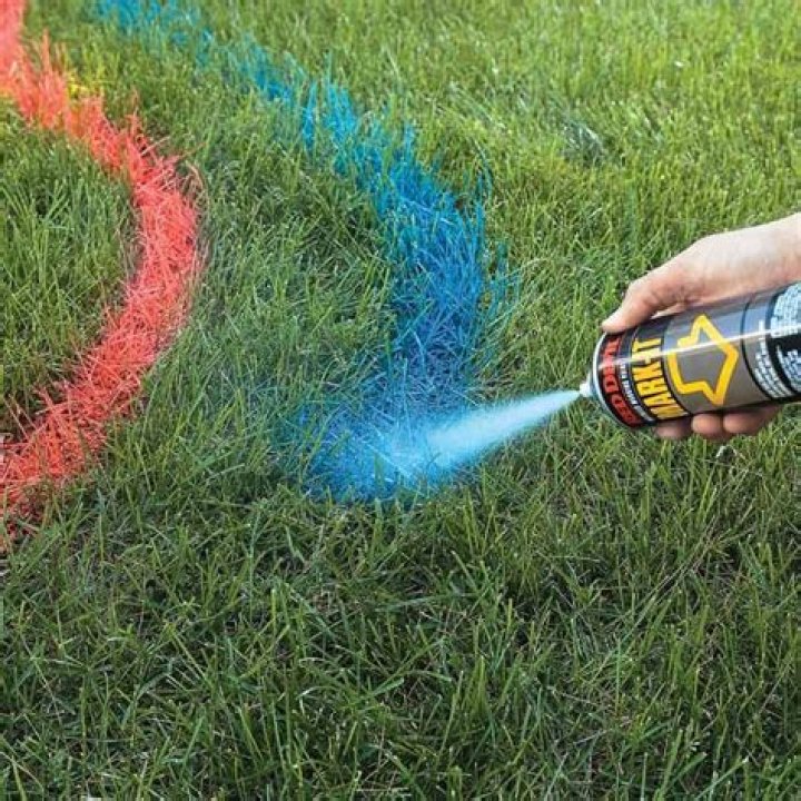 Orange Spray Paint Lines On Grass