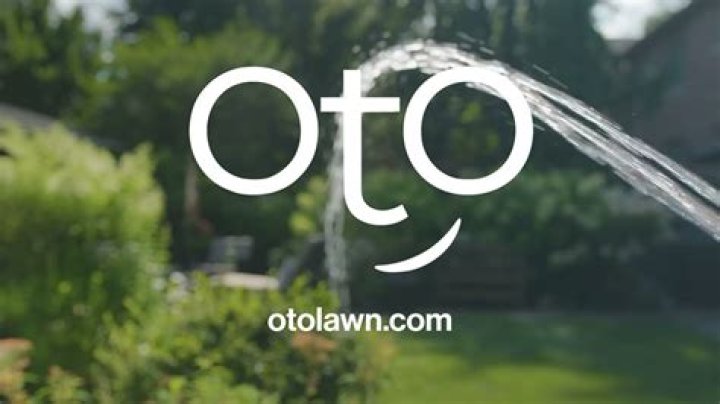 Oto lawn - How To Discuss