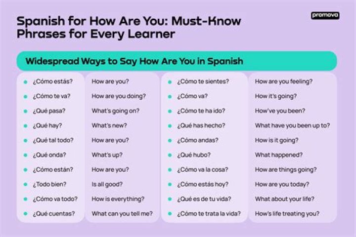 Owl In Spanish - How To Discuss