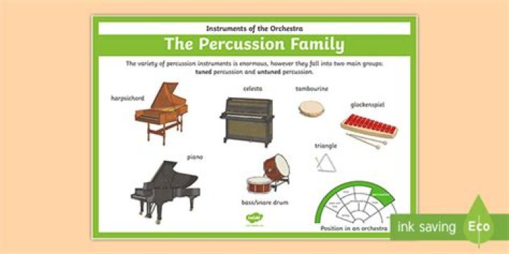 Percussion Family - How To Discuss