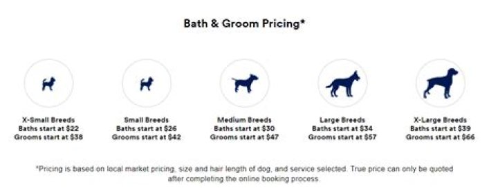 Petco grooming prices - How To Discuss