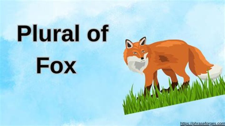 Plural Of Fox - How To Discuss