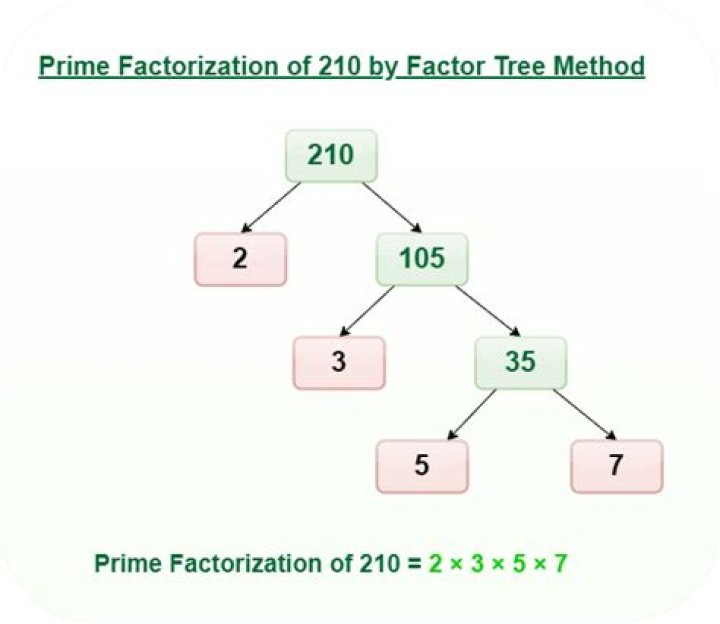 Prime Factorization Of 100 - How To Discuss