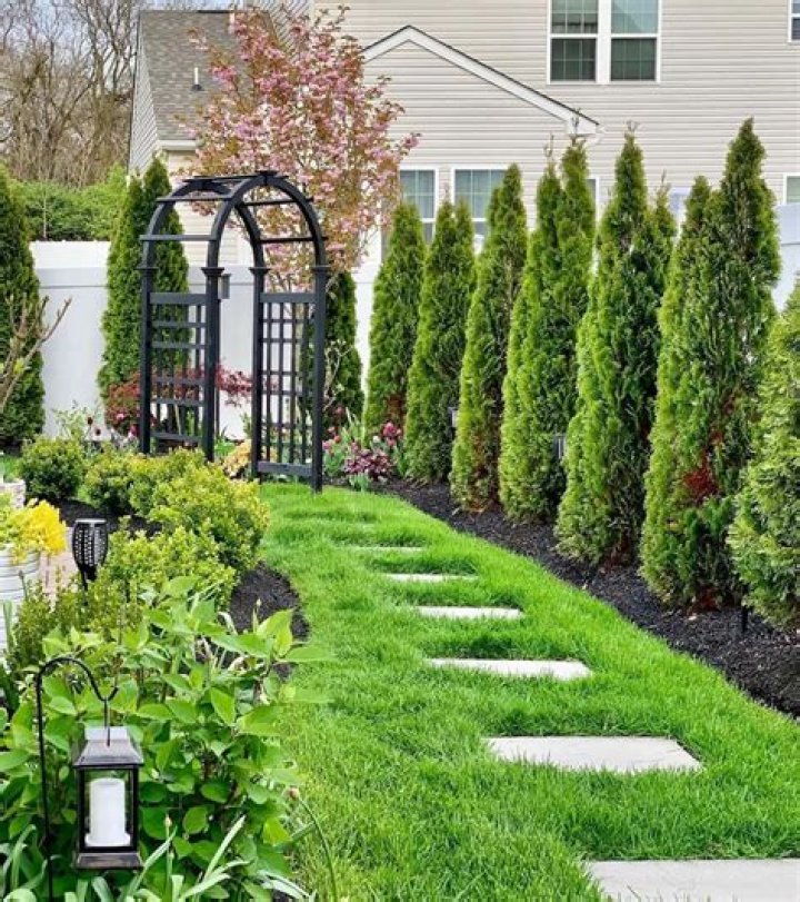Privacy landscaping - How To Discuss