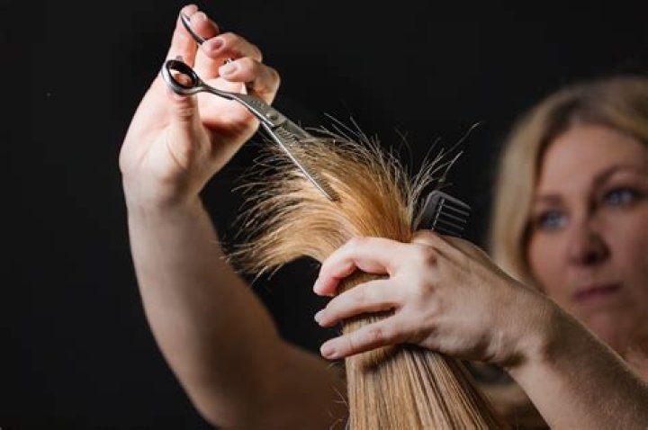 Professional hair shears - How To Discuss