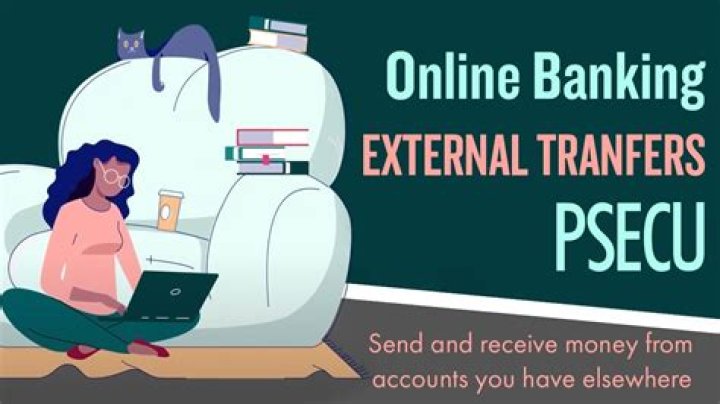 Psecu Transfer Money To External Account