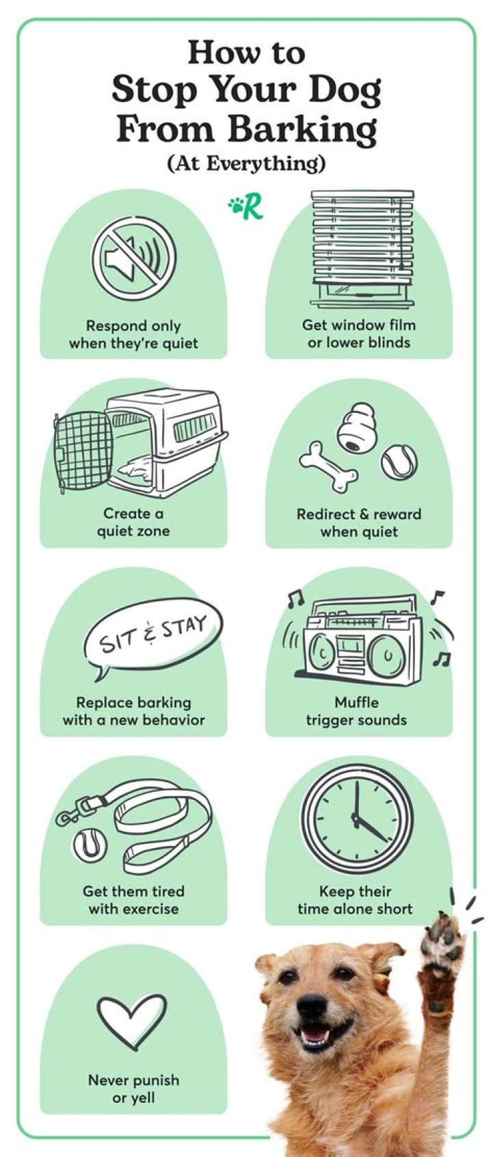 Puppy barking - How To Discuss