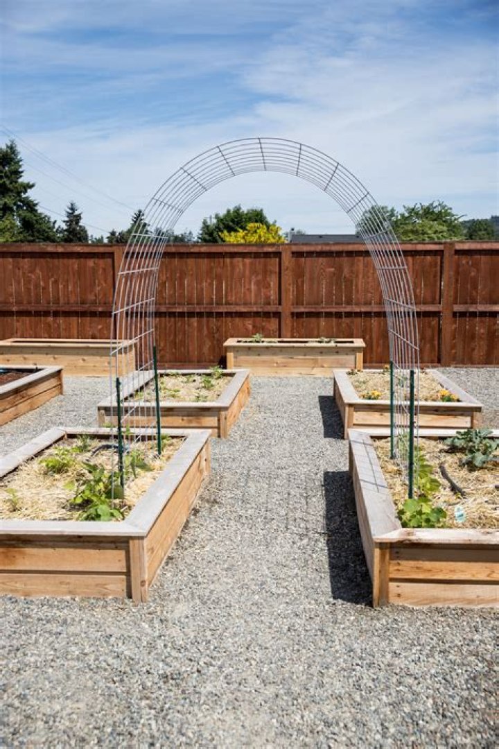 Raised garden bed with trellis