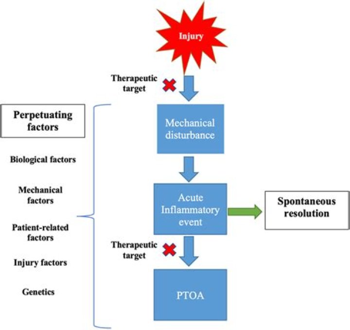 Risk factor - How To Discuss