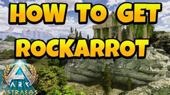 Rockarrot Ark - How To Discuss