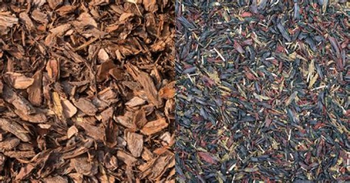 Rubber mulch vs wood mulch