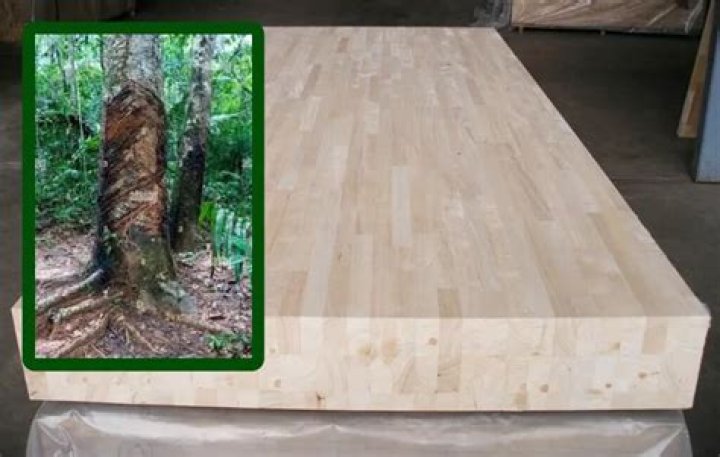 Rubber wood furniture - How To Discuss