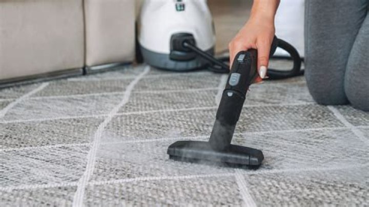 Rug steam cleaner - How To Discuss