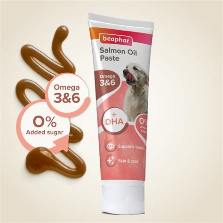 Salmon Paste For Dogs - How To Discuss