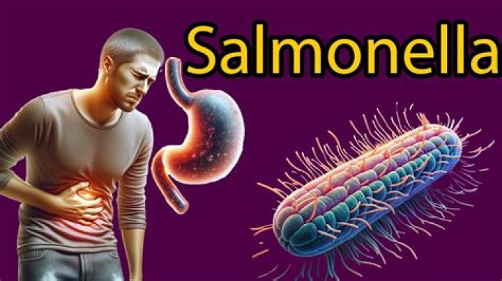 Salmonella - How To Discuss