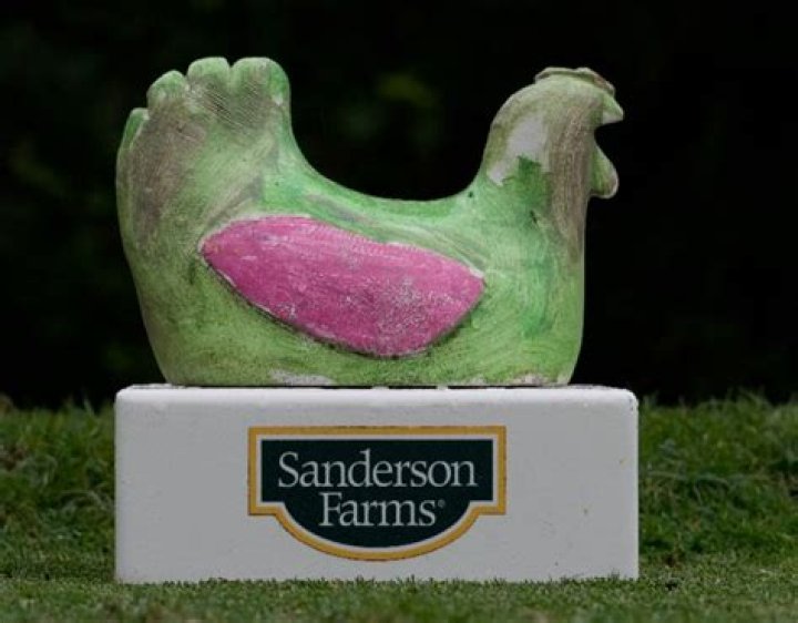 Sanderson farms stock - How To Discuss