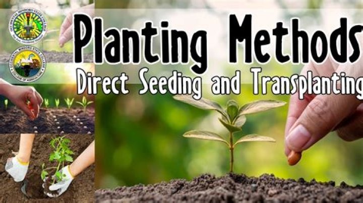 Seeding - How To Discuss