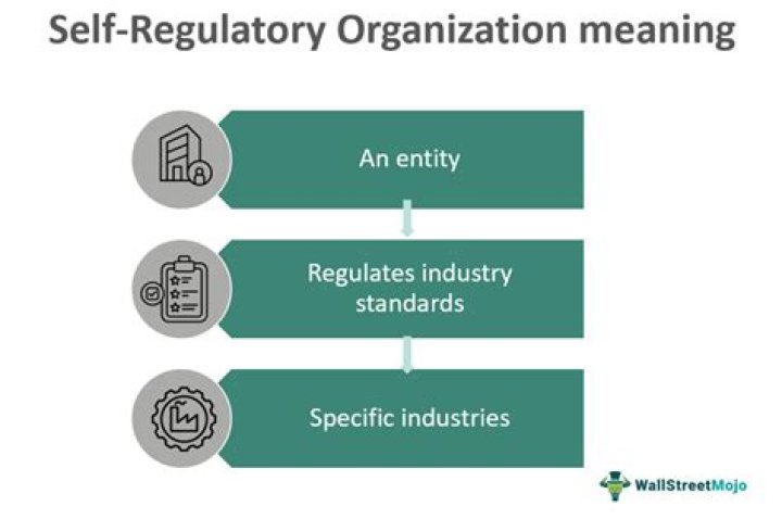 Self-regulatory organization (SRO) - How To Discuss