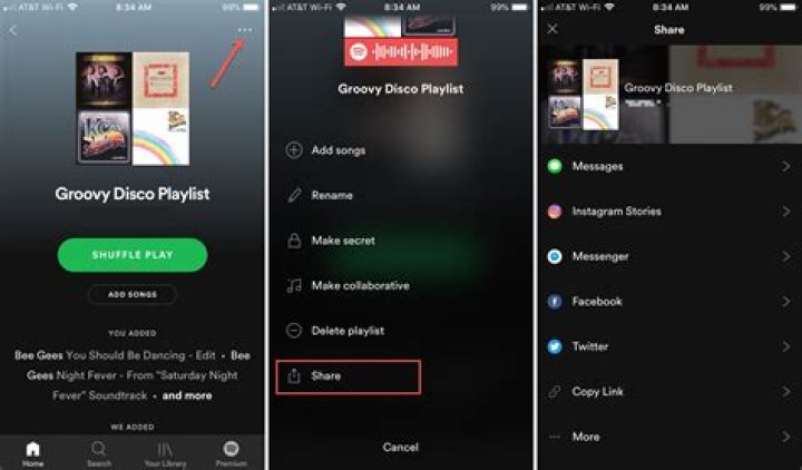 Share spotify playlist - How To Discuss