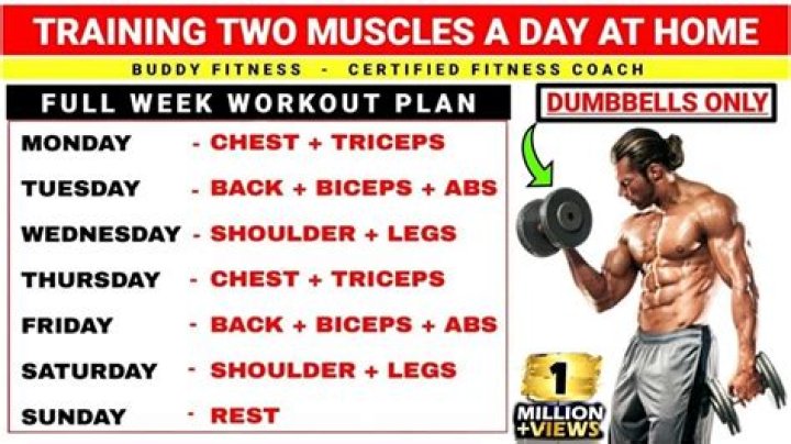 Should i workout everyday - How To Discuss
