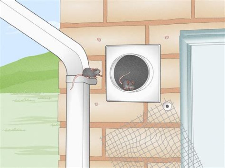 Should You Tip Exterminators - How To Discuss