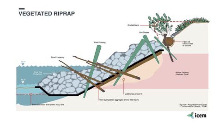 Siegel Nation Rap - How To Discuss