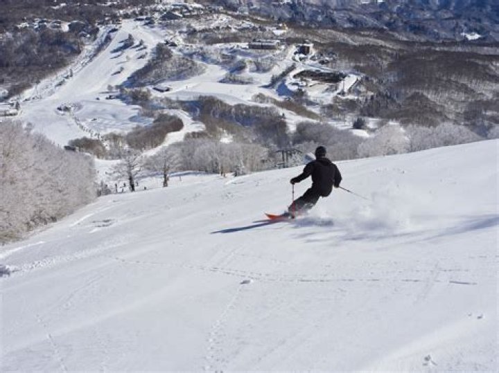 Skiing in japan - How To Discuss