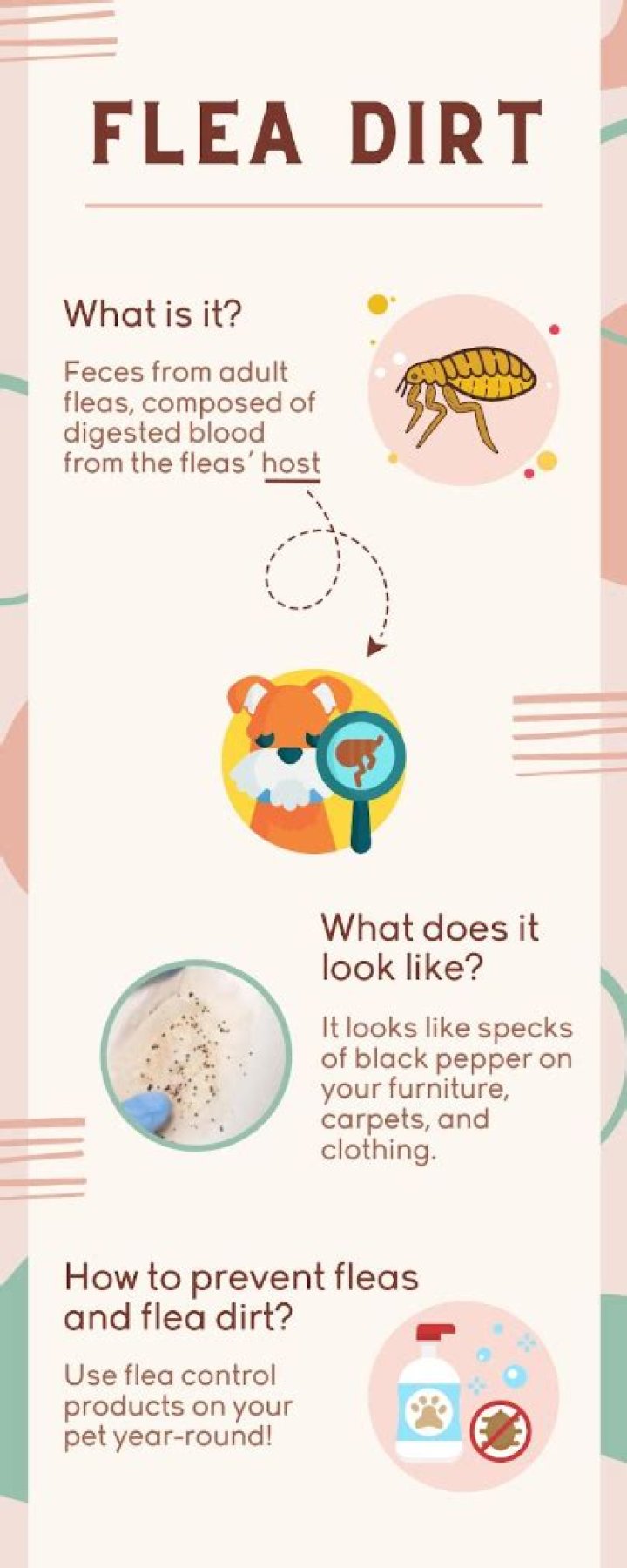 Spiral Flea Dirt - How To Discuss