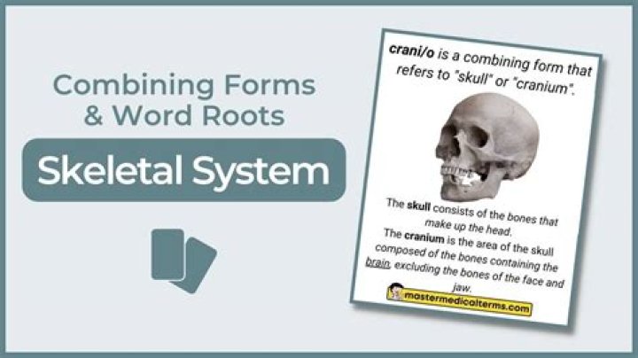 Steth O Medical Term - How To Discuss