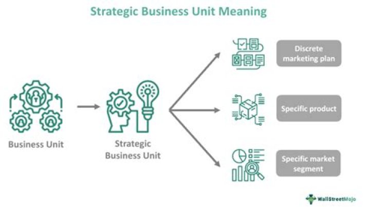 Strategic business unit (SBU) - How To Discuss