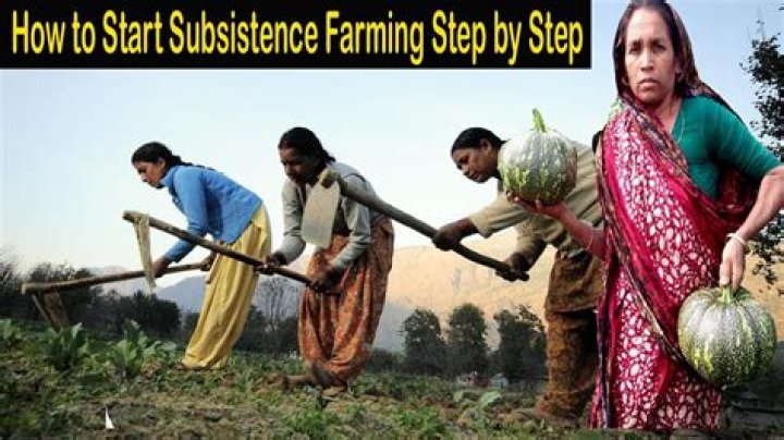 Subsistence economy - How To Discuss