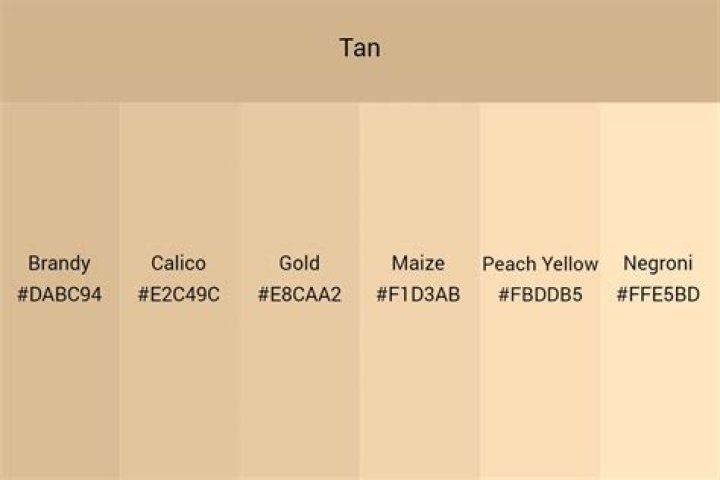 Tan cream - How To Discuss