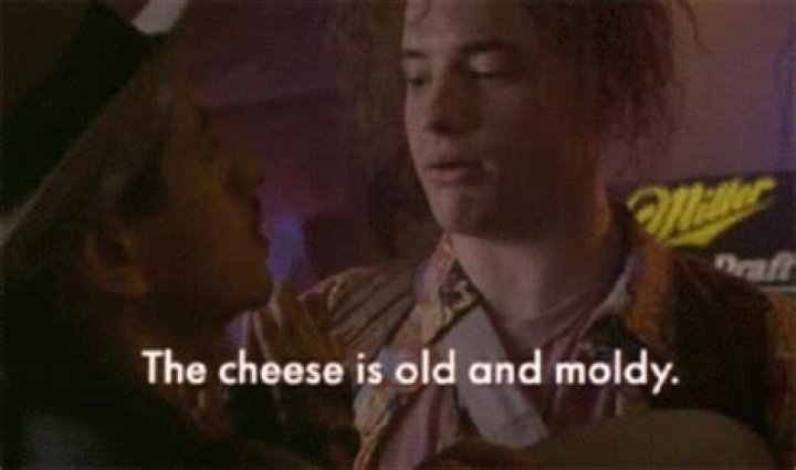 The Cheese Is Old And Moldy