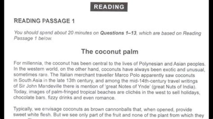 The Coconut Palm Answers - How To Discuss