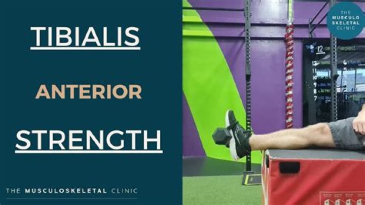 Tibialis anterior exercises - How To Discuss