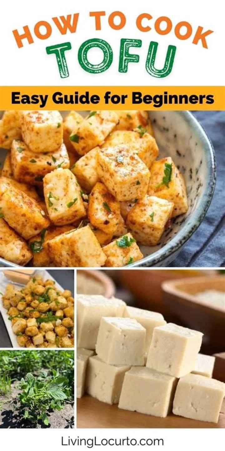 TOFU - How To Discuss
