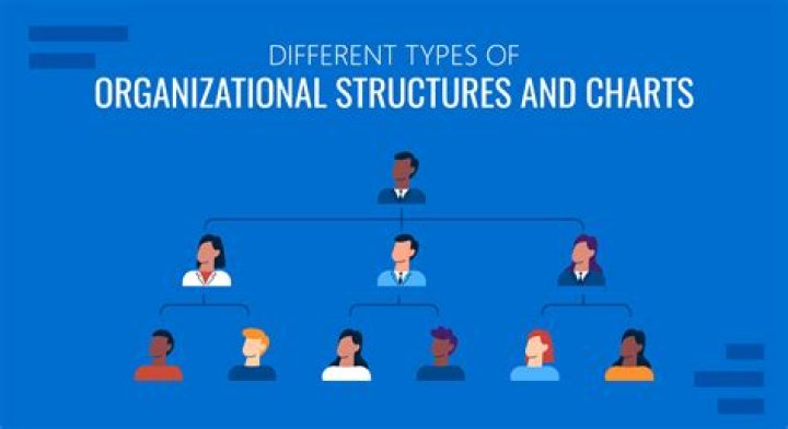 Types of organization - How To Discuss