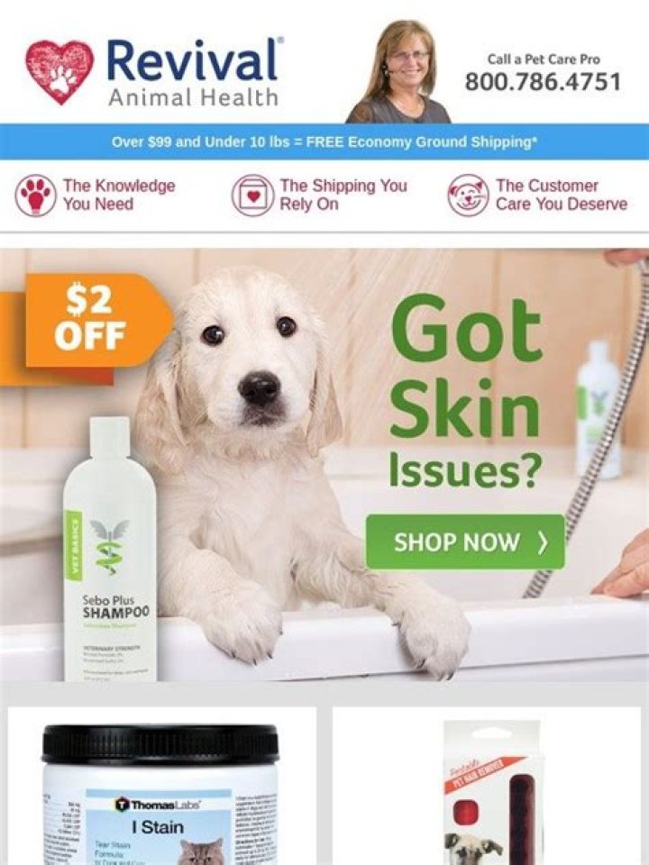 Vet Basics Sebo Plus - How To Discuss