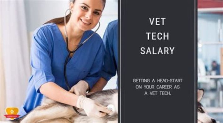 Vet tech salary - How To Discuss