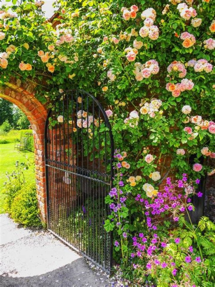 Walled garden - How To Discuss