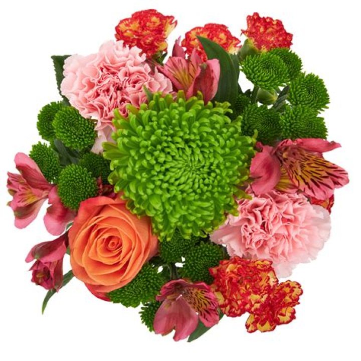 Walmart Flowers - How To Discuss