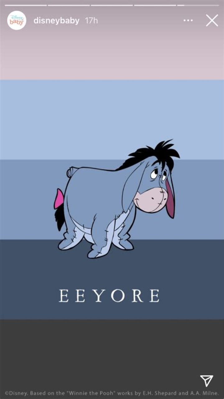 What Color Is Eeyore - How To Discuss