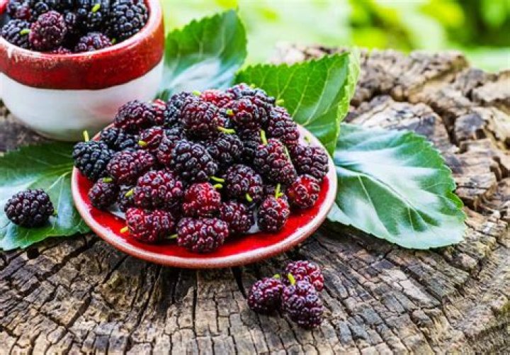 What Do Mulberries Taste Like