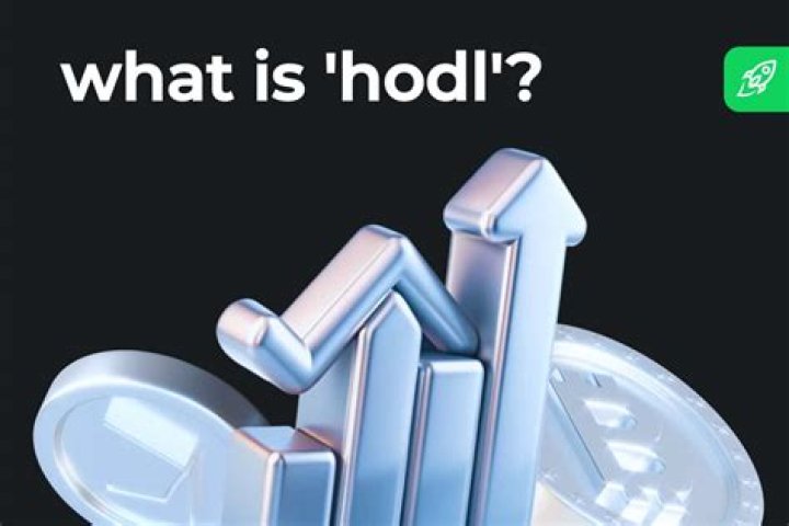 What does hodl mean - How To Discuss