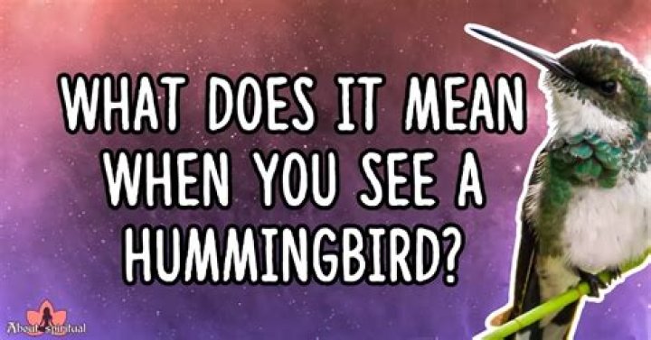 What Does It Mean When You See A Hummingbird
