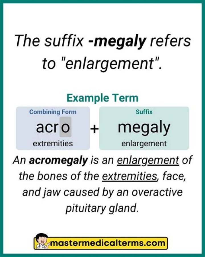 What Does Megaly Mean In Medical Terms