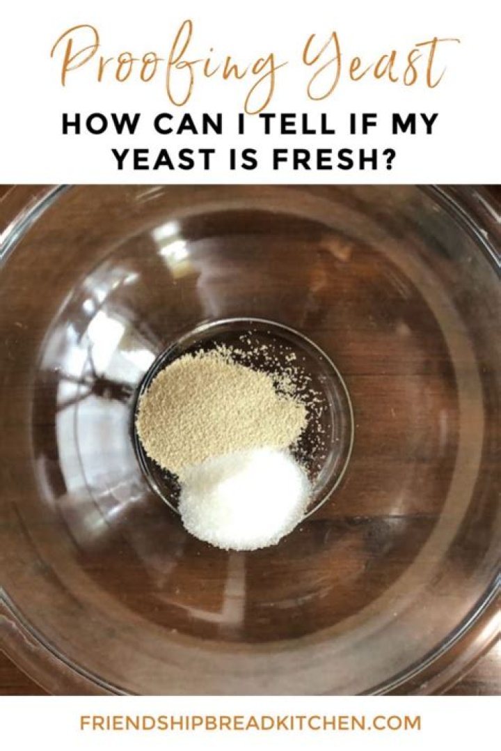 What Happens If You Proof Instant Yeast
