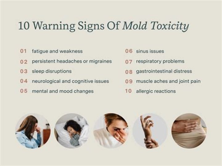 What Happens If You Touch Mold