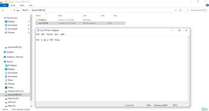 What is a txt file