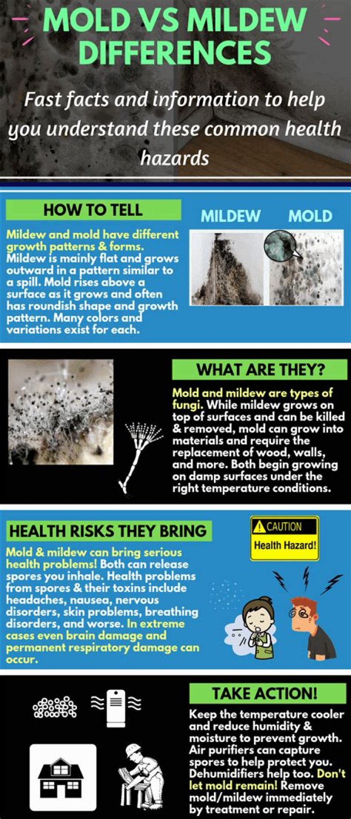 What is the difference between mold and mildew